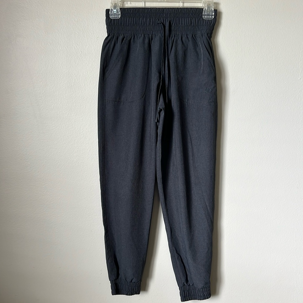 Albion fit destination joggers petite